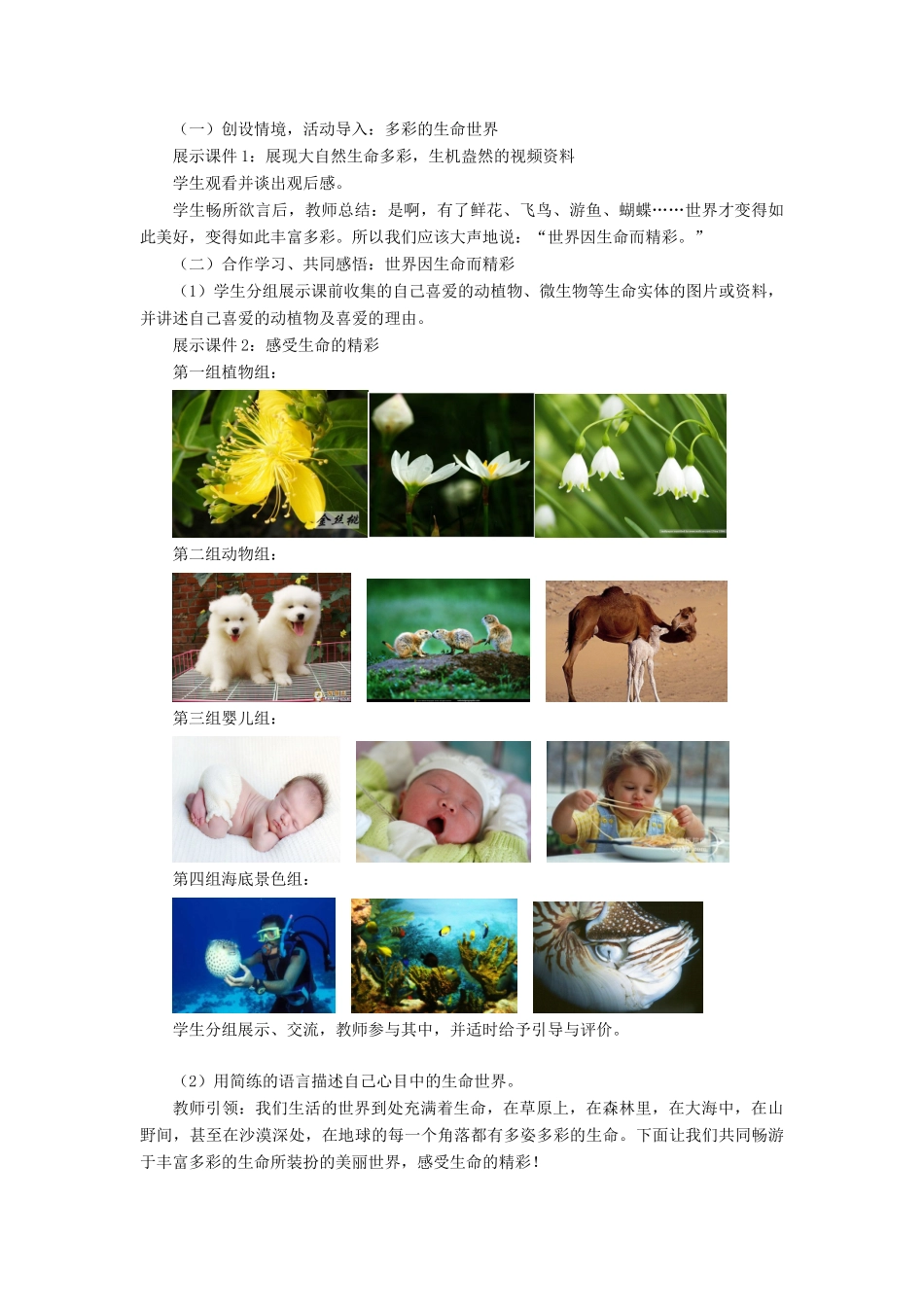 七年级政治上册 多彩的生命世界教学设计 鲁教版教材_第2页
