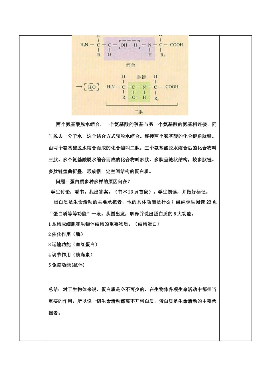 生命活动的主要承担者--蛋白质_第3页