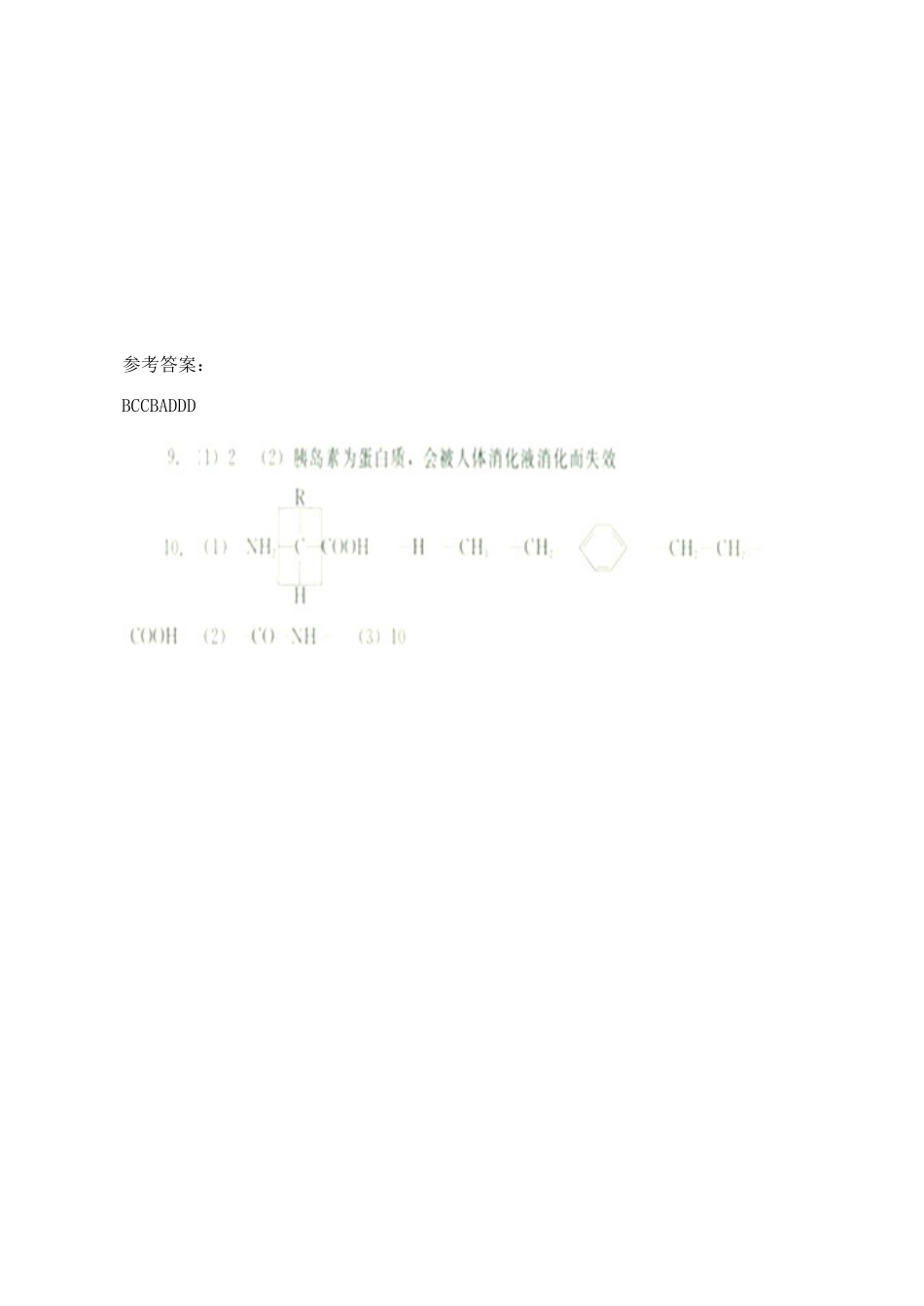 山西省运城市康杰中学高中生物 2.2 生命活动的主要承担者 蛋白质同步练习（四）新人教版必修1_第3页