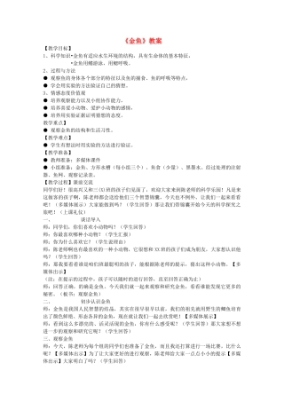 一年级科学上册 第二单元 认识小动物 第2课《金鱼》教案 大象版-大象版小学一年级上册自然科学教案