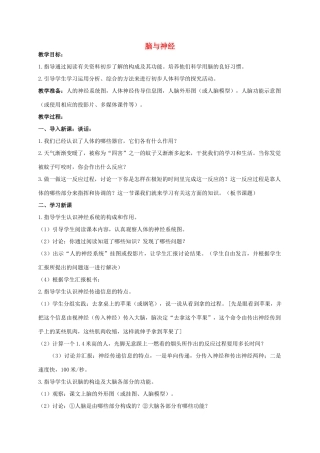 五年级科学上册 脑与神经教案 青岛版