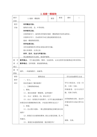 一年级科学上册 第1单元 植物 2《观察一棵植物》教案1 教科版-教科版小学一年级上册自然科学教案