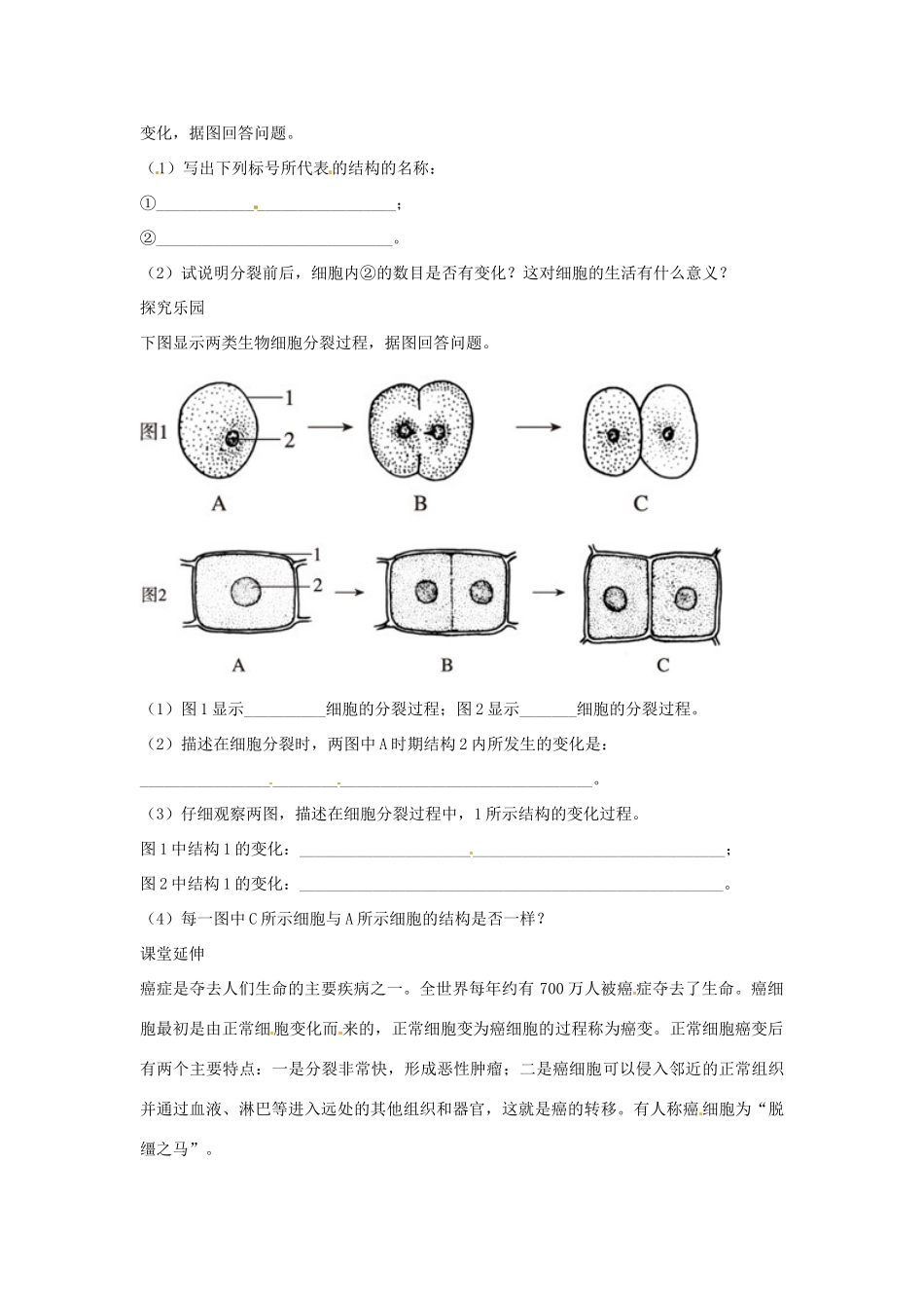 七年级生物上册第三节　细胞通过分裂产生新细胞解析与测评教学设计人教版教材_第2页