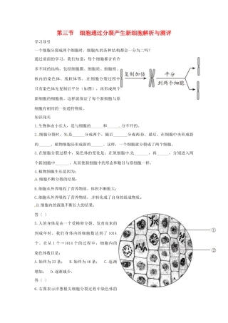七年级生物上册第三节　细胞通过分裂产生新细胞解析与测评教学设计人教版教材