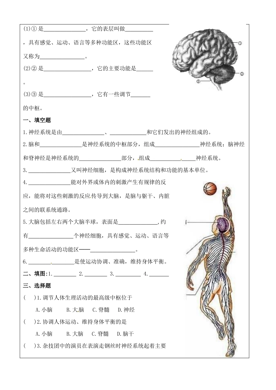 七年级生物下册 第6章第2节神经系统的组成教学设计 人教新课标版教材_第2页