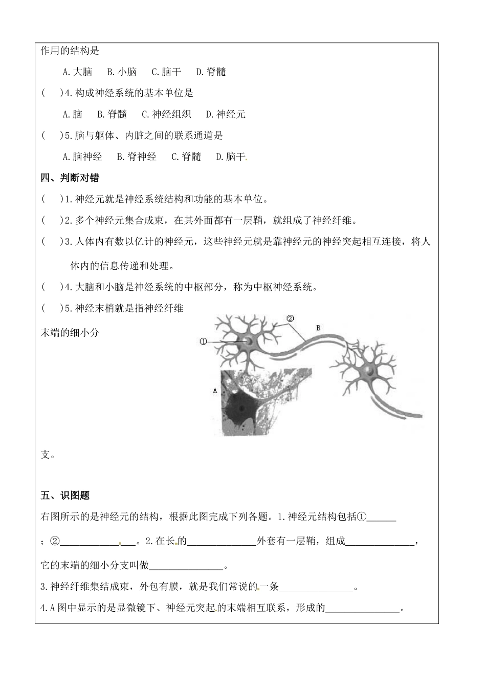 七年级生物下册 第6章第2节神经系统的组成教学设计 人教新课标版教材_第3页