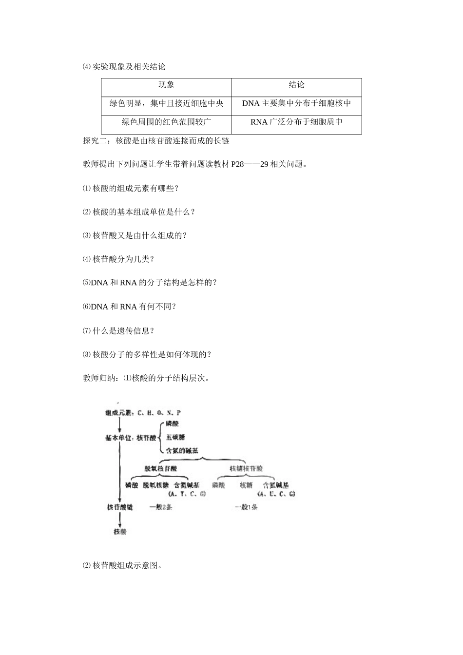 山东临清市高中生物 第二章第3节《遗传信息的携带者—核酸》教案 新人教版必修1_第3页