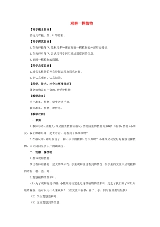 一年级科学上册 第1单元 植物 2《观察一棵植物》教案2 教科版-教科版小学一年级上册自然科学教案