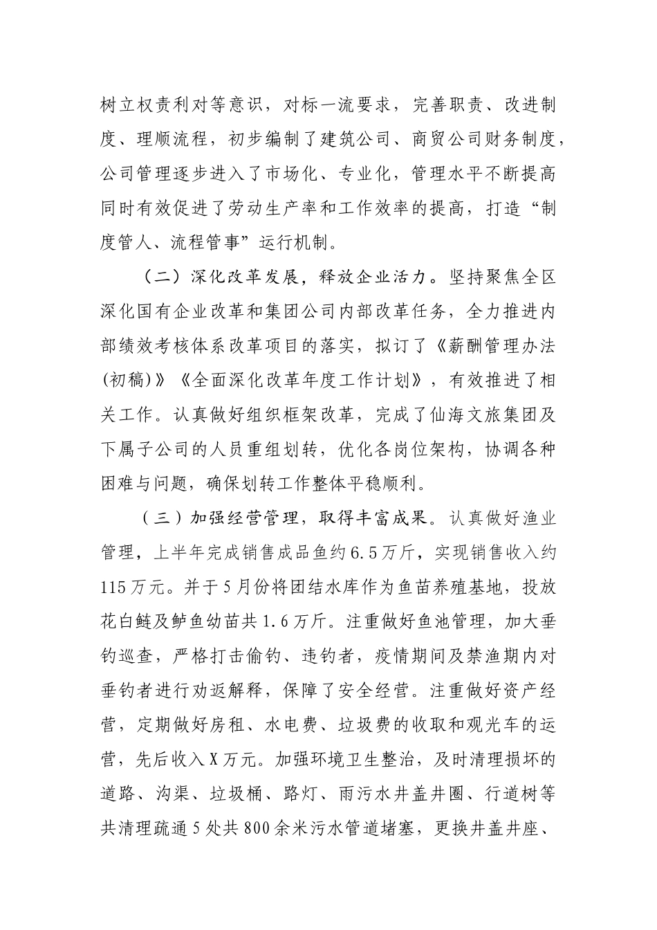 文旅集团2020年上半年总结及下半年工作计划_第2页