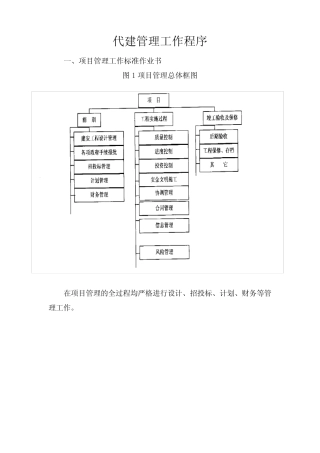 代建管理工作程序 