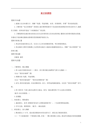四年级语文下册 真正的愤怒 1教案 沪教版