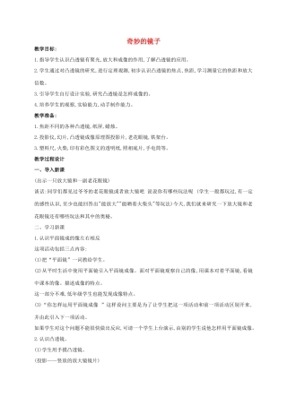 五年级科学上册 奇妙的镜子教案 青岛版