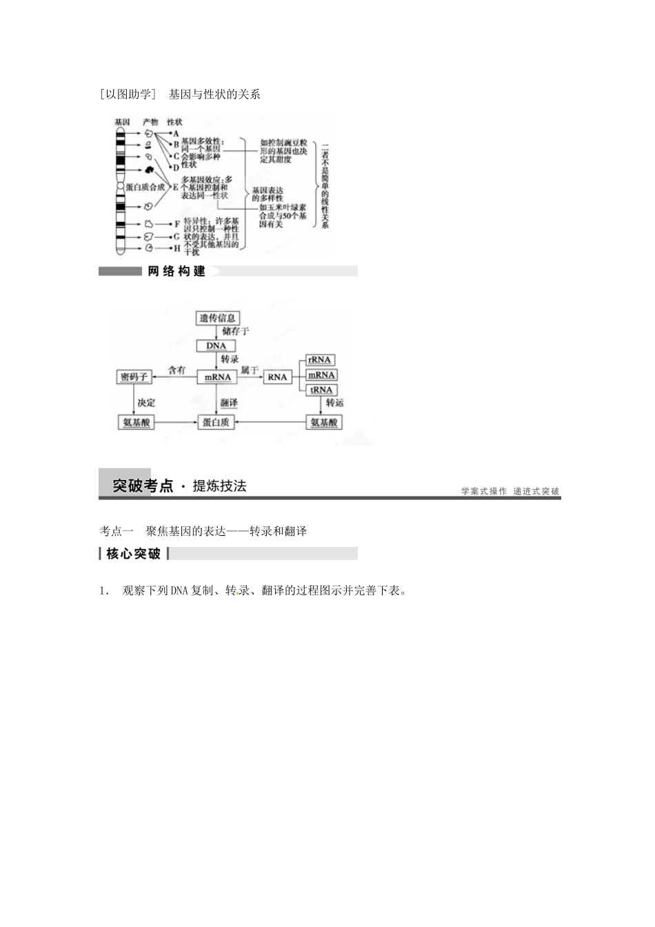 重庆市万州分水中学高考生物 第4章《基因的表达》考点复习一 聚焦基因的表达 转录和翻译 新人教版必修2_第3页