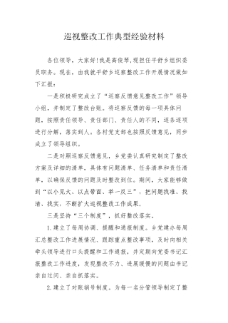 巡视整改工作典型经验材料