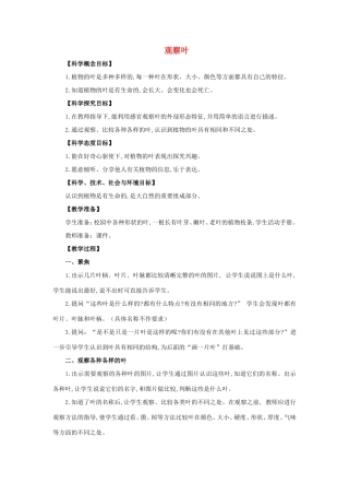 一年级科学上册 第1单元 植物 3《观察叶》教案2 教科版-教科版小学一年级上册自然科学教案
