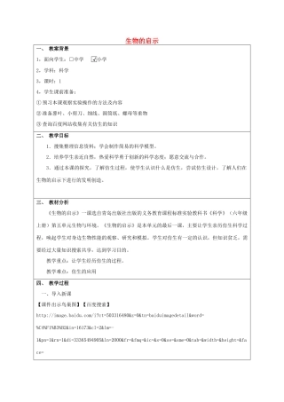 六年级科学上册 第5单元 25 生物的启示教案1 青岛版