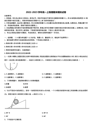 2022年广东省深圳市康桥书院物理高一第一学期期末复习检测模拟试题含解析