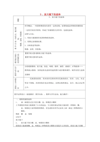 六年级科学下册 第一单元 微小世界 3 放大镜下的晶体教案 教科版-教科版小学六年级下册自然科学教案