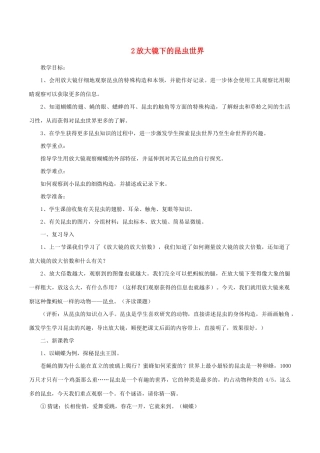 六年级科学下册 1.2《大镜下的昆虫世界》教案 教科版-教科版小学六年级下册自然科学教案