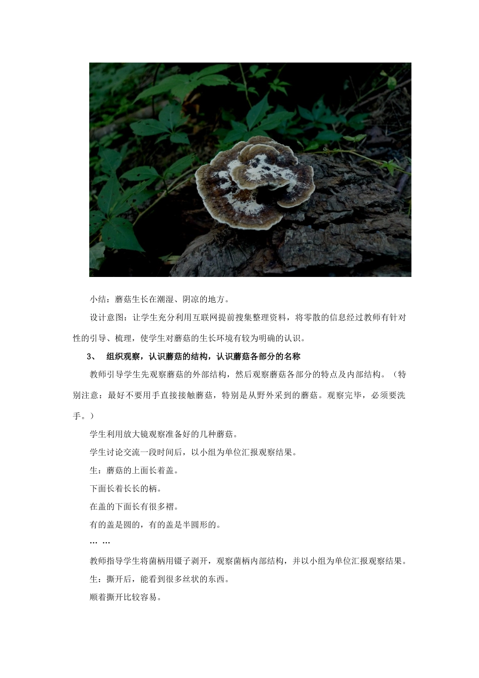 六年级科学上册 第1单元 4 食用菌教学设计2 青岛版_第3页