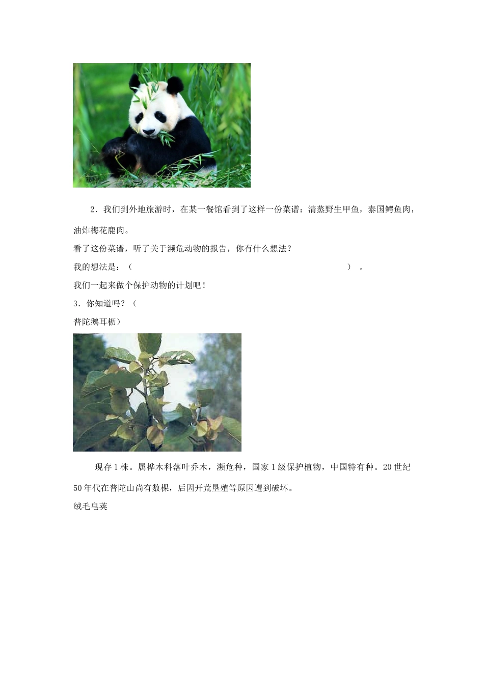 六年级科学上册 第5单元 23 密切联系的生物界教案1 青岛版_第2页