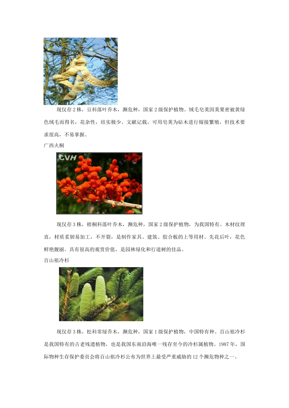 六年级科学上册 第5单元 23 密切联系的生物界教案1 青岛版_第3页