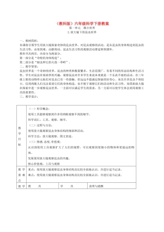 六年级科学下册 放大镜下的昆虫世界3教案 教科版