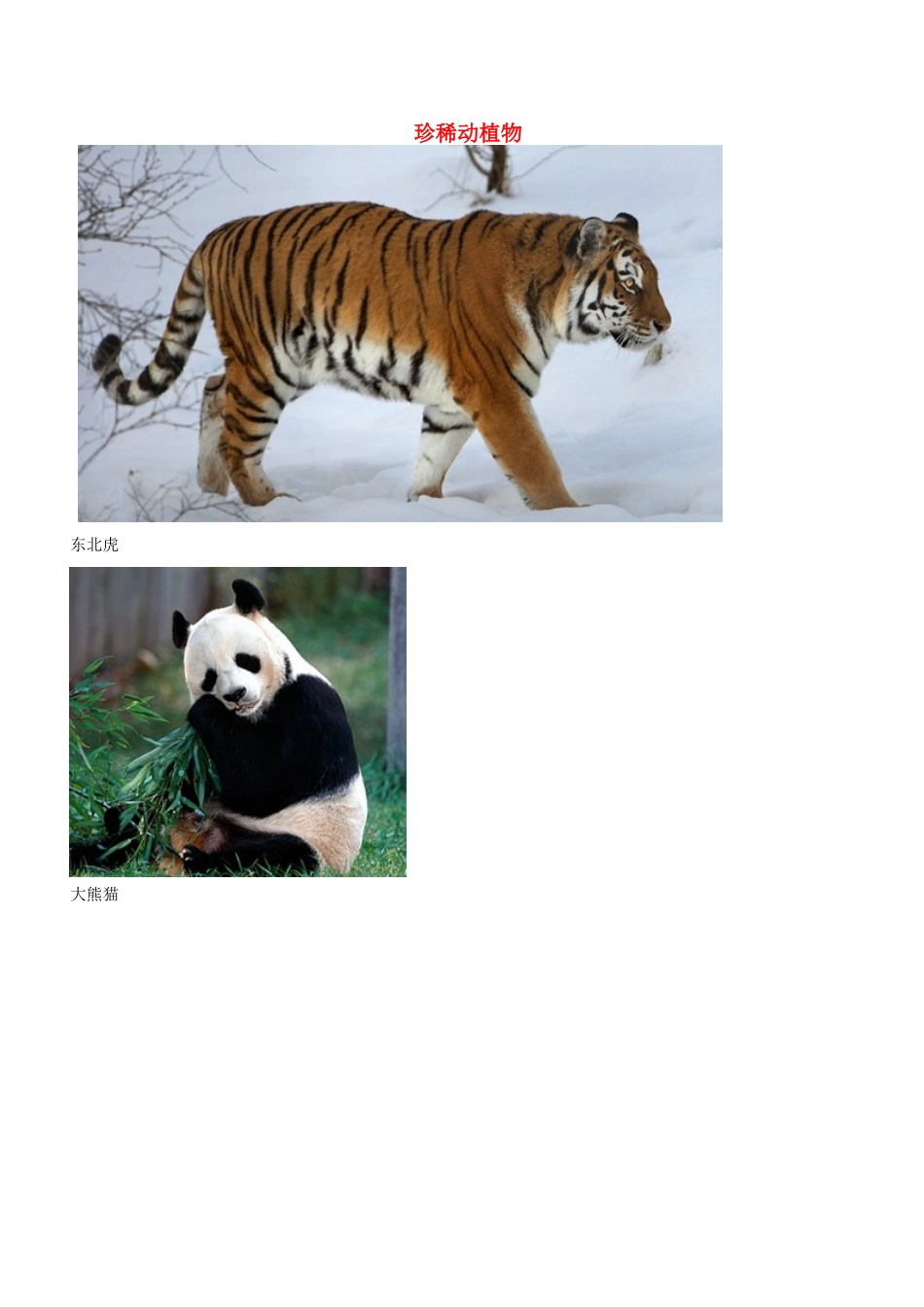 六年级科学上册 第5单元 24 珍稀动植物素材 青岛版_第1页