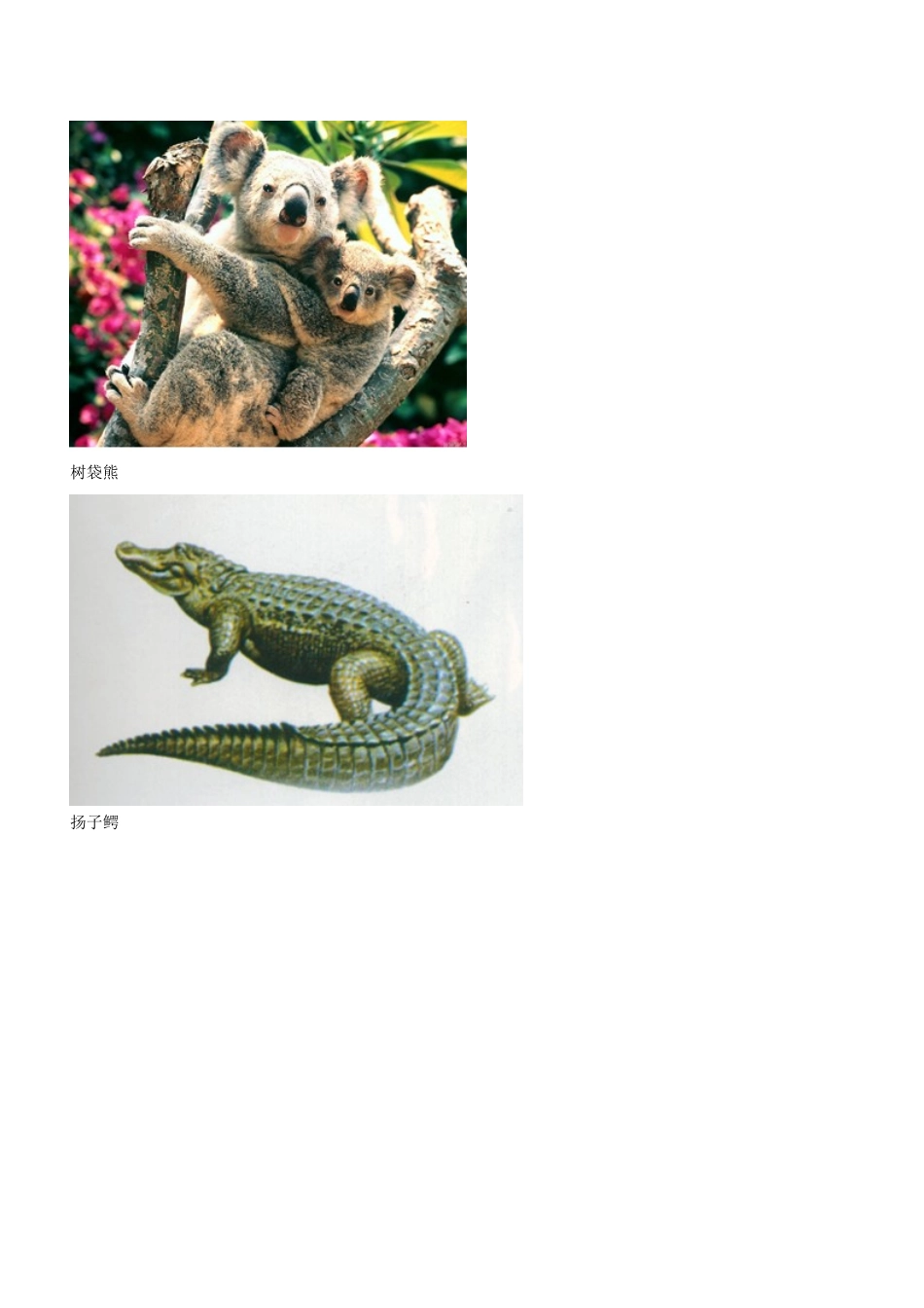 六年级科学上册 第5单元 24 珍稀动植物素材 青岛版_第3页