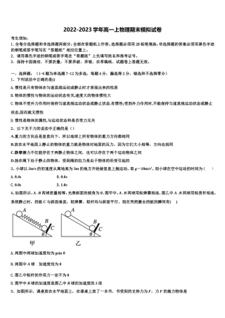 2022年福建省漳州第八中学物理高一第一学期期末统考试题含解析