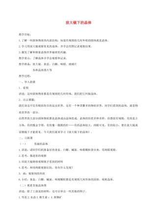 六年级科学下册 放大镜下的晶体5教案 教科版