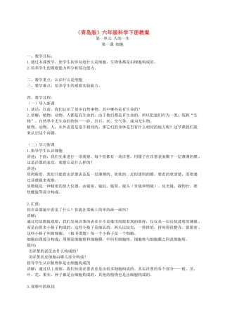 六年级科学下册 细胞2教案 青岛版