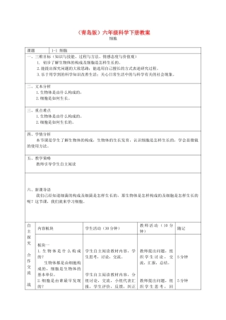 六年级科学下册 细胞3教案 青岛版
