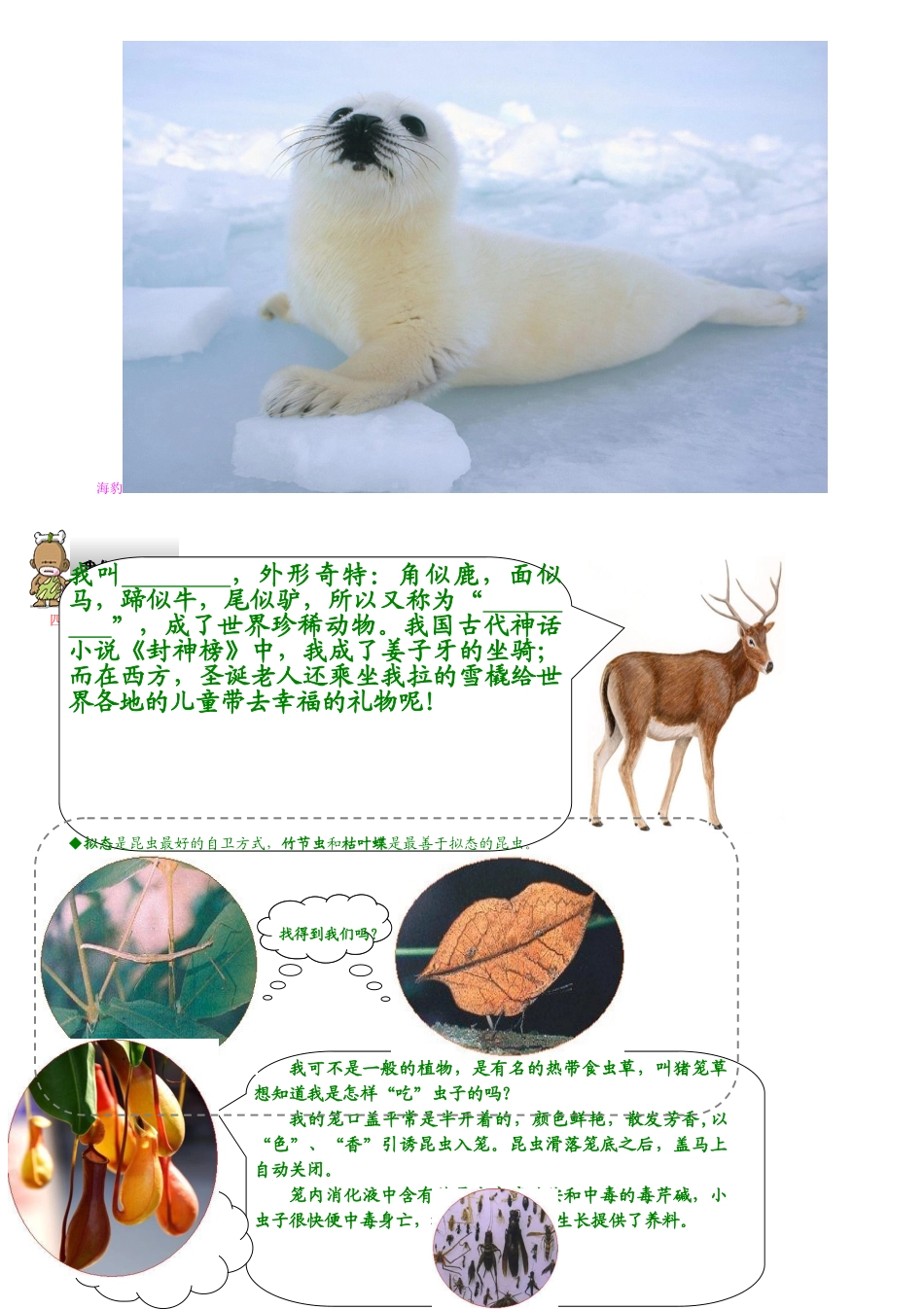 六年级科学下册 许多物种消失了教案 鄂教版_第3页