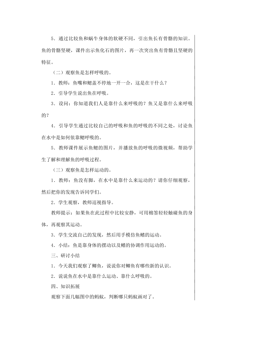 一年级科学下册 2.5《观察鱼》教案 教科版-教科版小学一年级下册自然科学教案_第3页