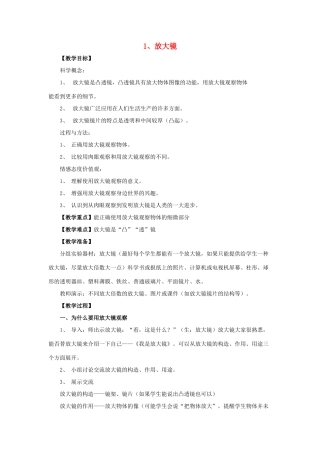 六年级科学下册 放大教案 教科版