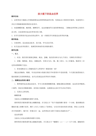 六年级科学 放大镜下的昆虫世界教案 教科版