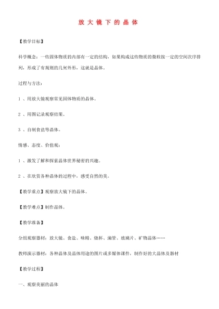 六年级科学下册 放大镜下的晶体教案 教科版