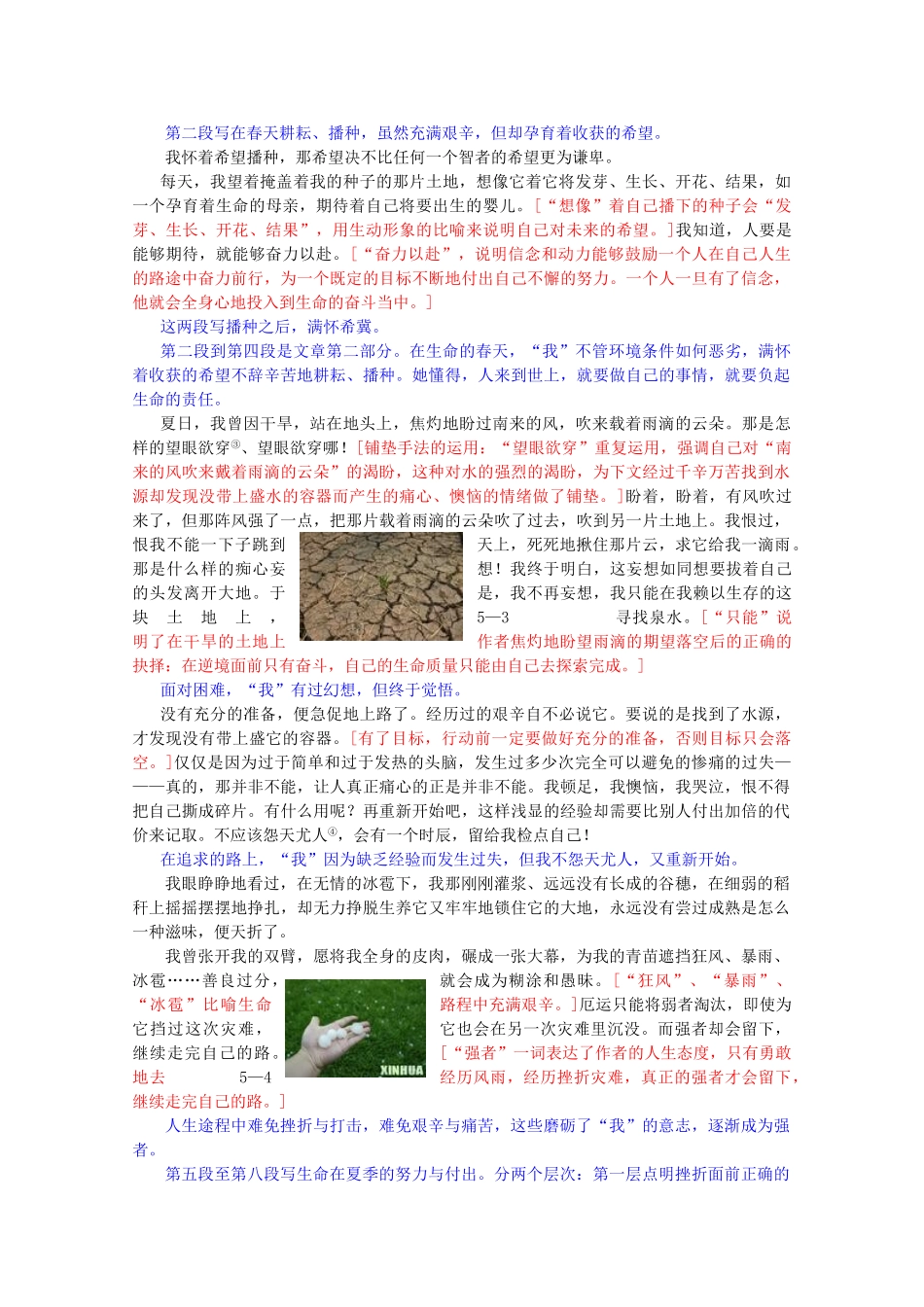 2011年高中语文 1.2.2《我的四季》教案 苏教版必修1_第3页