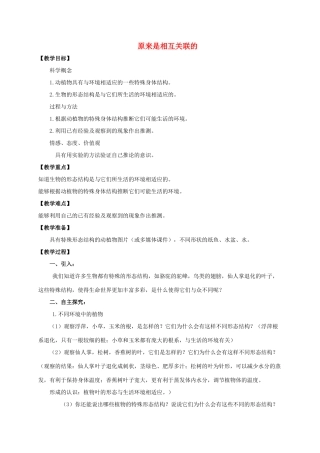 六年级科学上册 原来是相互关联的教案 教科版