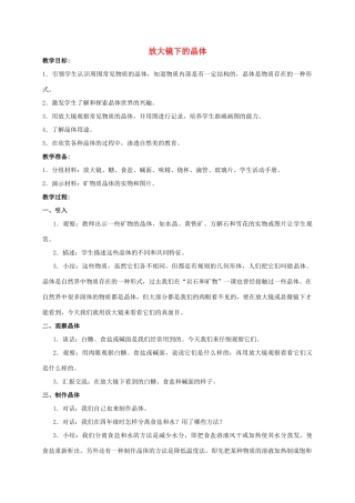 六年级科学 放大镜下的晶体教案 教科版