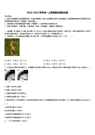 2022-2023学年广东省佛山市南海中学分校物理高一上期末统考试题含解析
