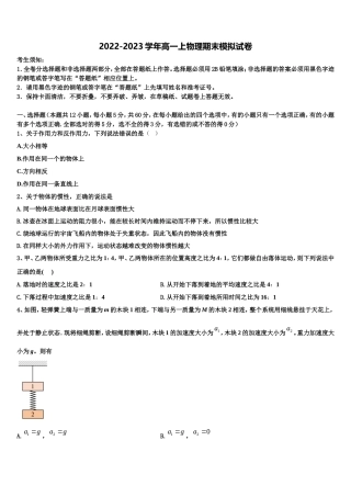 2022年北京海淀北理工附中物理高一上期末统考模拟试题含解析