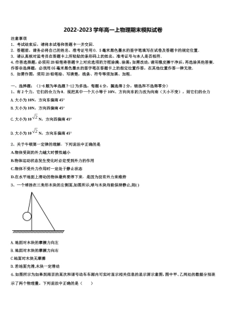 2022-2023学年上海师大学附中物理高一第一学期期末学业质量监测模拟试题含解析