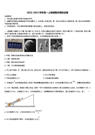 2022-2023学年上海师大学附中物理高一上期末教学质量检测试题含解析