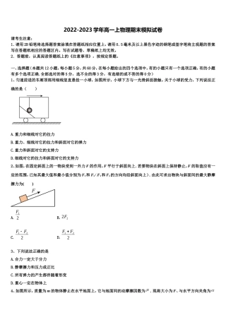 2022-2023学年上海市华东师大三附中物理高一上期末检测模拟试题含解析