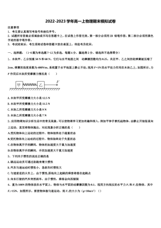 2022-2023学年上海市上海师范大学第二附属中学高一物理第一学期期末质量跟踪监视试题含解析