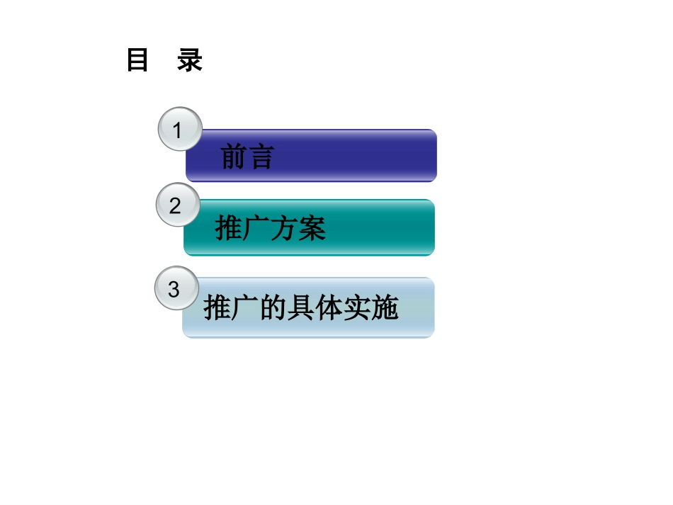 网络推广方案_第2页