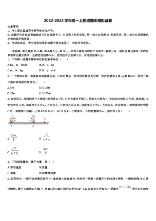 2022年山东省临沂市罗庄区七校联考物理高一上期末学业水平测试模拟试题含解析