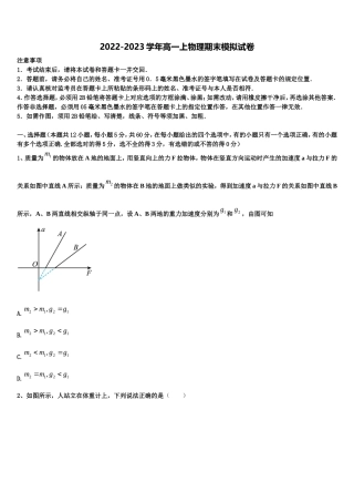 2022年四川成都青羊区外国语学校物理高一第一学期期末考试试题含解析